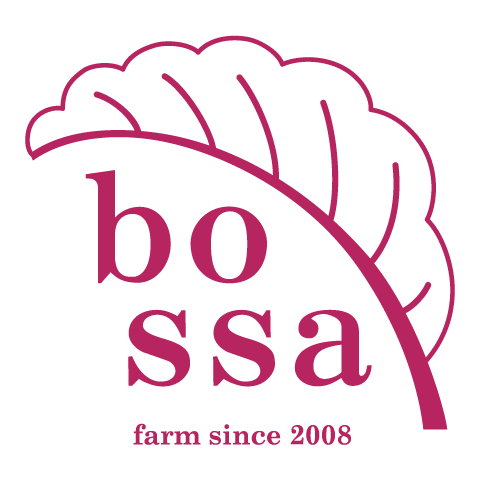 bossa farm〈ボッサファーム〉
